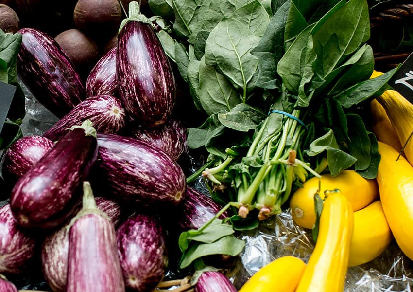 Farmer’s Market Villanova